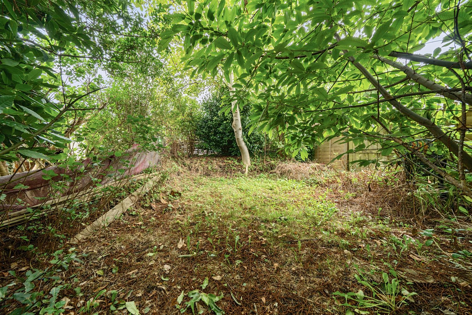 St. Elmo Avenue, St. Thomas, Swansea, SA1 8DR